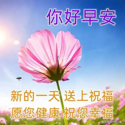 清早最新版早上好漂亮表情祝福图片,最美的早上好问候语_朋友_开心_是