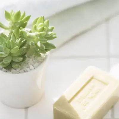 小清新唯美静物头像集