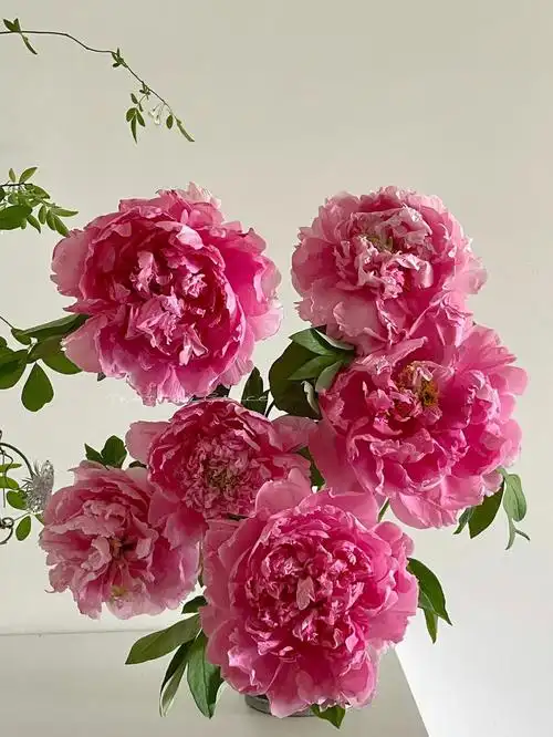 国产牡丹桃红翡翠贵妃插翠