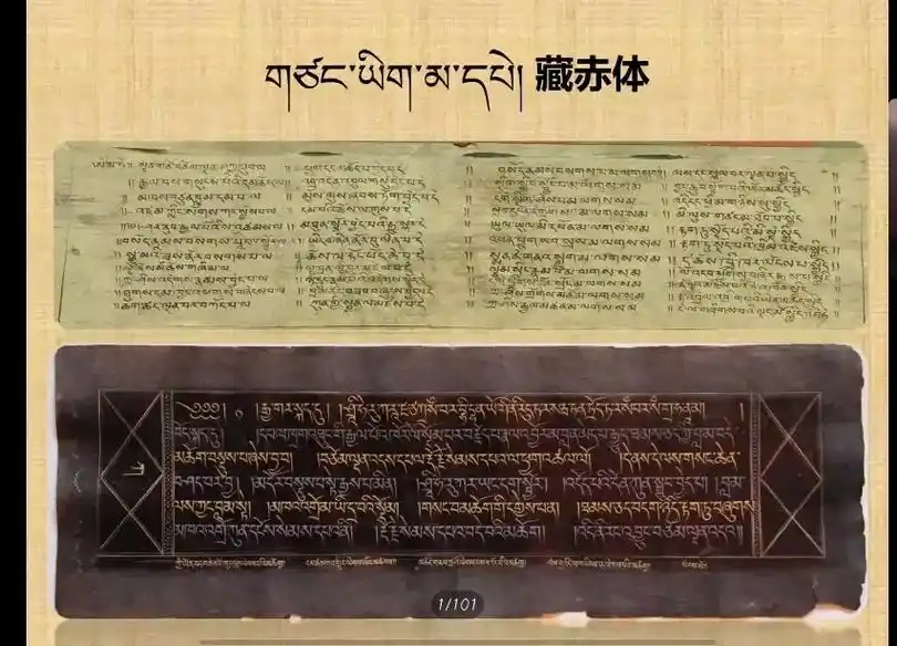 282927   272025282225242022252022