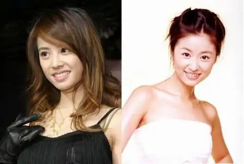 林心如和蔡依林为什么这么像呢?她们是有什么关系呢?