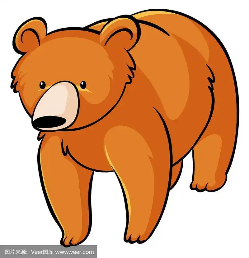 熊,橙色,白色背景,可爱的,活力