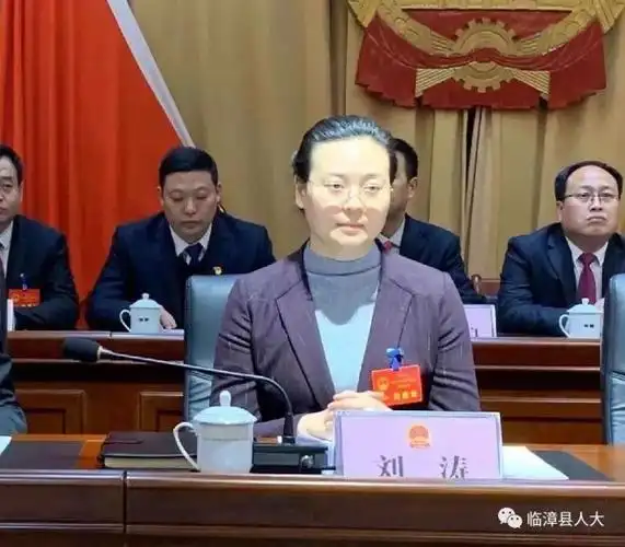 新当选的县长刘涛在讲话中指出:这次大会选举我担任临漳县人民政府