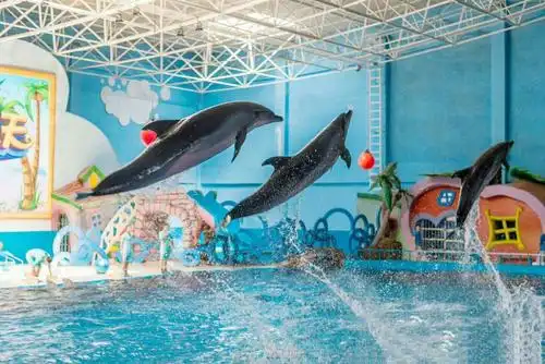 蓝色畅想——蓬莱海洋极地世界.作者:蔡玉臻