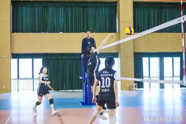 热烈祝贺科利华铁北分校在南京市青少年部排球比赛中勇创佳绩