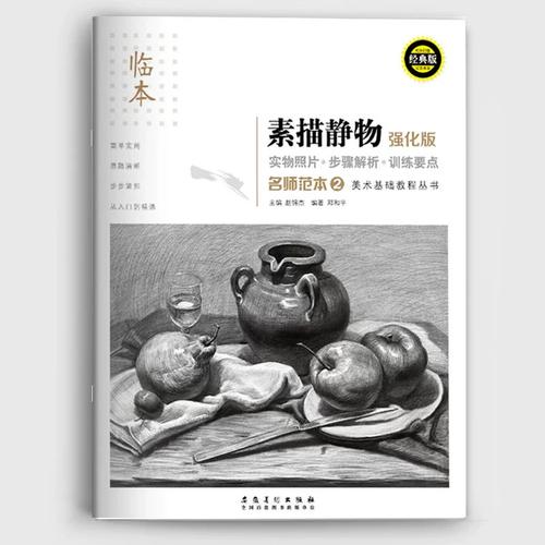 静物素描教材美术基础技法培训教材铅笔画手绘自学素描书安徽美术出版