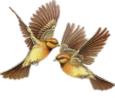 410_370gif 动态图 动图