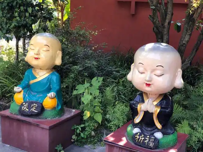 重庆华岩寺荷花盛开