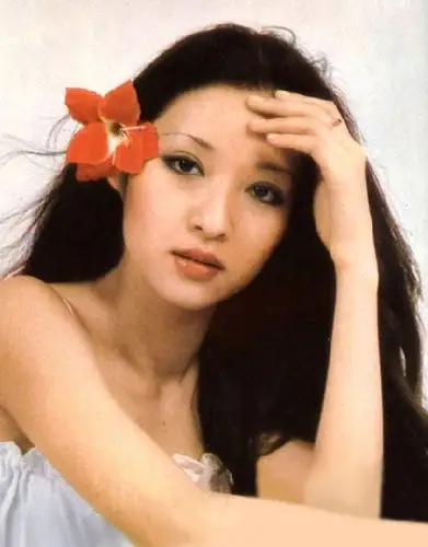 胡因梦(terry hu)又名胡茵子,胡因因,本氏瓜尔佳,满族.