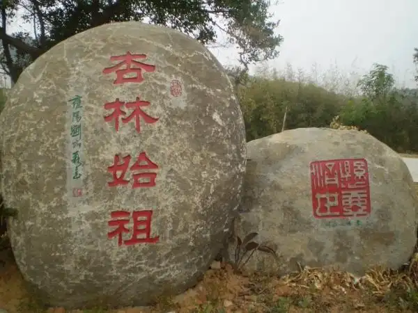 中医杏林的典故