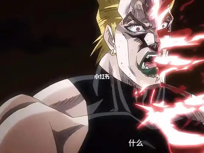 我一定是中了欧拉欧拉拳如dio一般