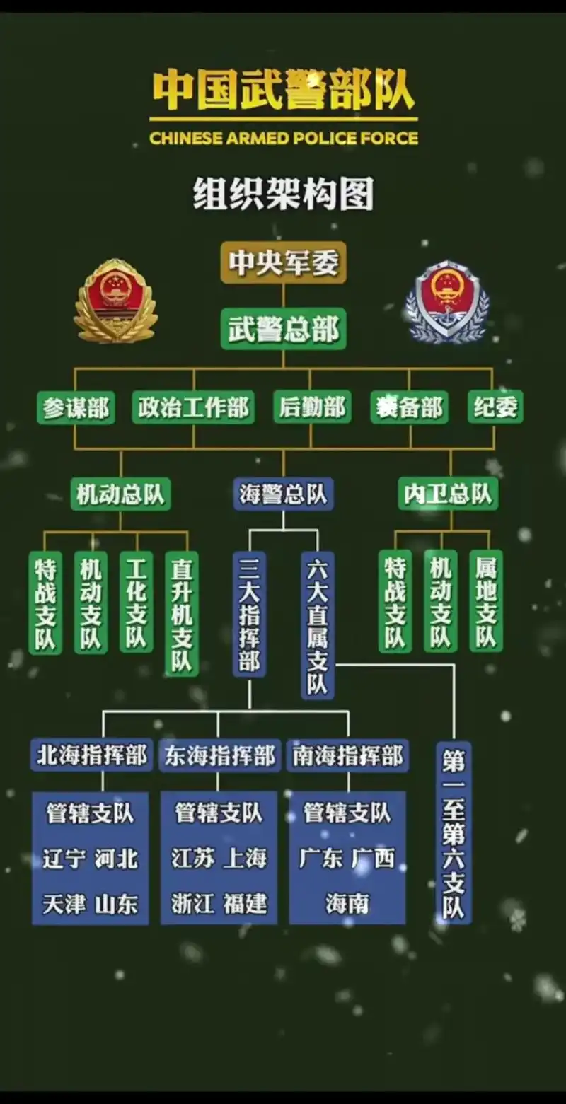 中国武警构架#武警