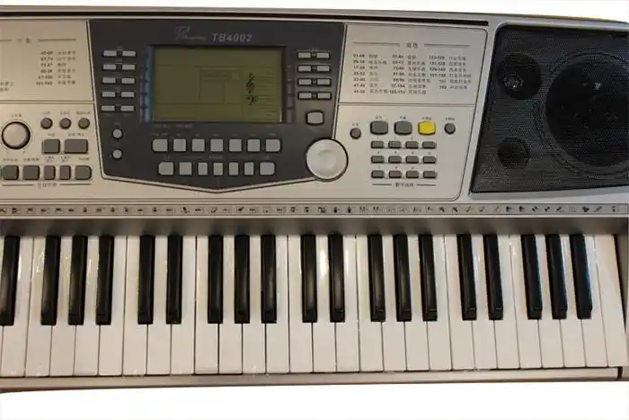 吟飞(ringway)tb-4002 tb4002电子琴(银色)