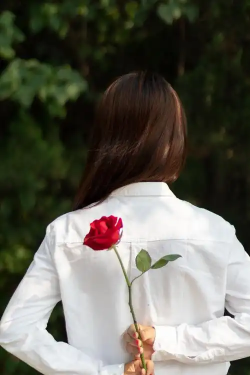 玫瑰_人像_poco摄影,人像