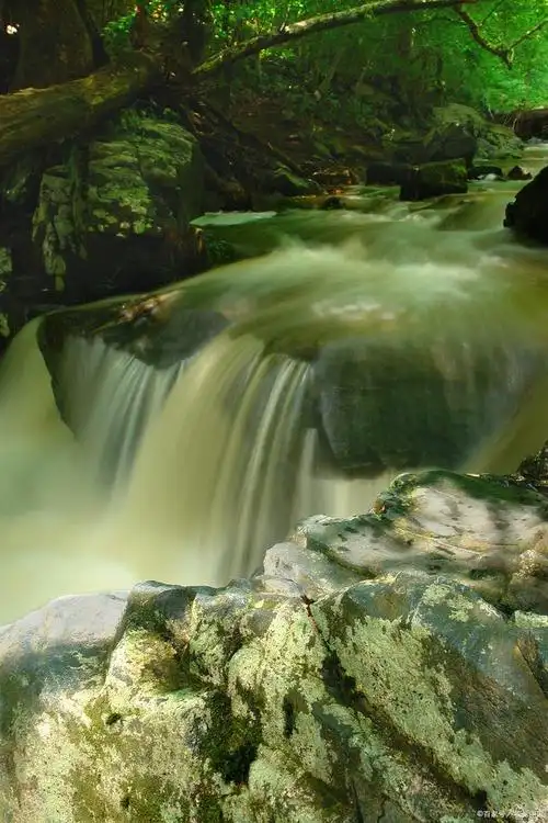 翠云绿无止境,山水大有可观