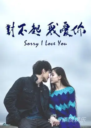 《对不起,我爱你》海报