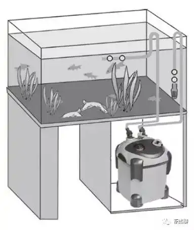 想在家里玩个珊瑚缸先了解下适合海缸的过滤系统吧
