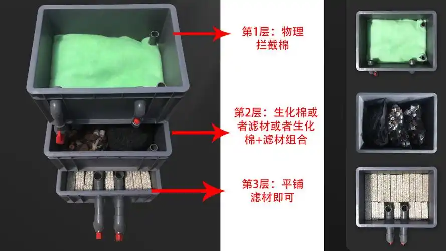 鱼缸滤材摆放顺序,你做对了吗_生化_物理_形式