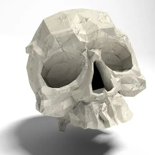 头骨3d模型