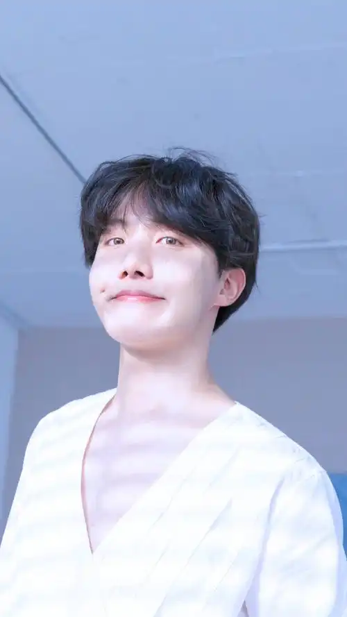 防弹少年团:小漂亮j-hope郑号锡,艺能感超强的甜心编舞队长