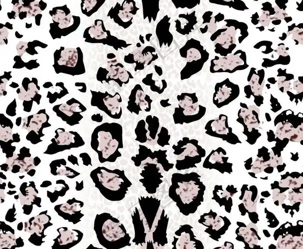 豹纹 白底 手绘印花图片