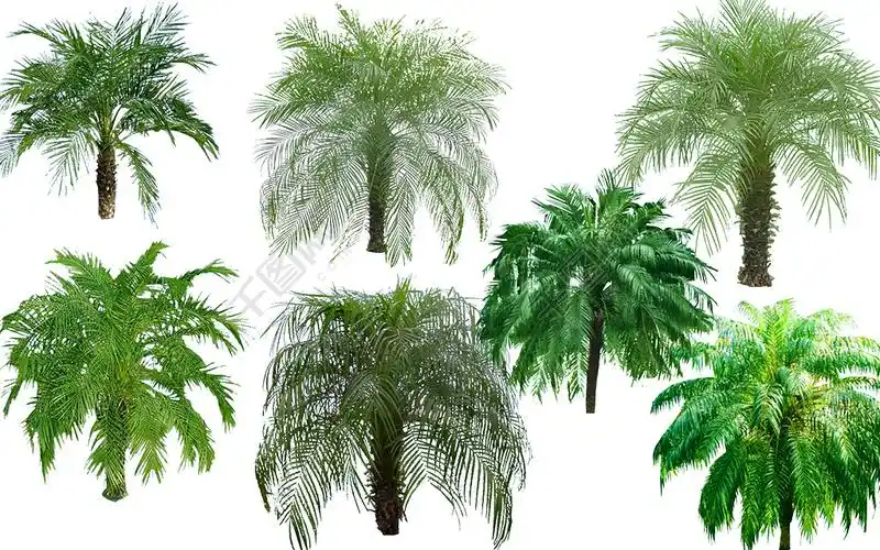 源文件下载设计图免费下载_1024像素_psd格式_编号26846387-千图网