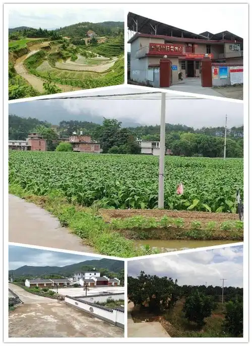 古龙岗镇,隶属江西省赣州市 a target="_blank" href="/item/兴国县