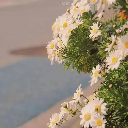 个性微信背景图