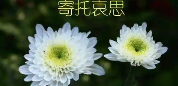 想念天堂妈妈的句子说说心情图1