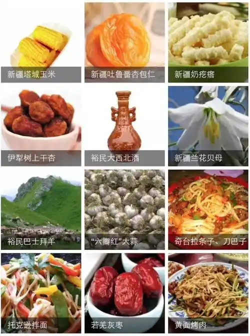 全国各地特产一览表看到新疆我跪了