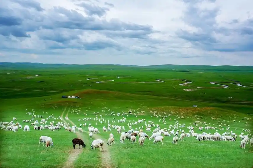 呼伦贝尔大草原