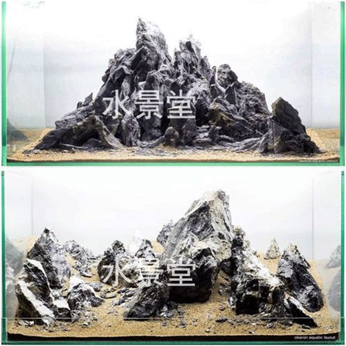 青龙石造景套餐 超白缸鱼缸莫斯水草鱼缸水草水草缸