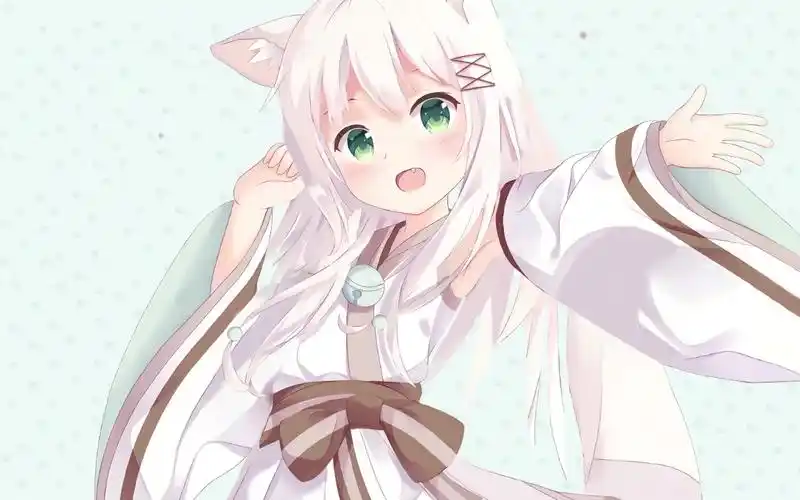 猫耳娘视频制作步骤(二次元/动态壁纸)throb十九的170x速度动态壁纸