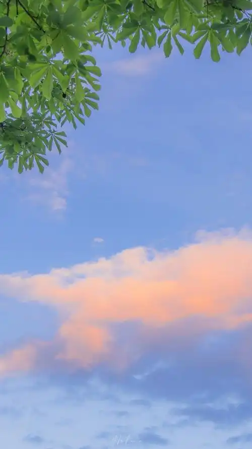 手机壁纸##聊天背景图