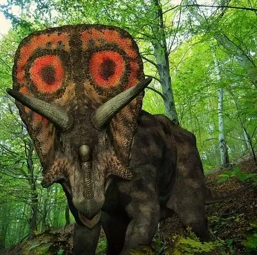 华丽的角龙(四)_牛角_三角_颈盾