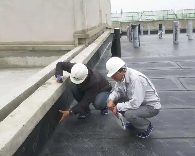 防水自己如何建设网站_(防水自己如何建设网站呢)