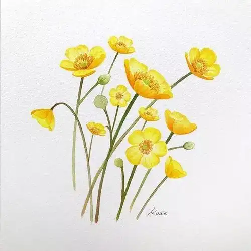 3个简单步骤教你画出一朵花|水彩画|插画家|艺术家|手绘|花朵_网易