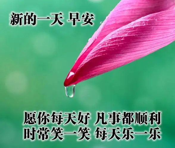 温暖阳光早安动态祝福图片清晨暖心早安问候语录