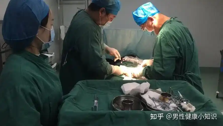 关于包皮包茎手术你关心的问题都在这
