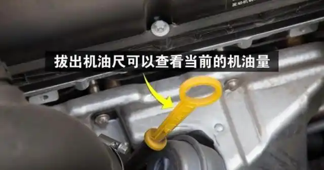 你真的会看机油尺吗,真以为只是一拔一插,可能你想的太简单-汽车-中华