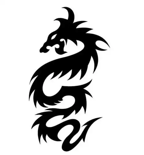 龙图腾纹身图案大全,龙图腾纹身手稿-纹身图片网
