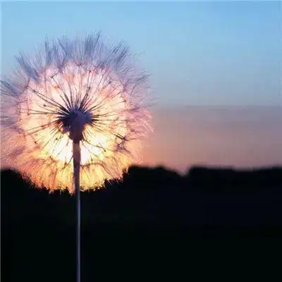 静谧有气质的风景微信头像