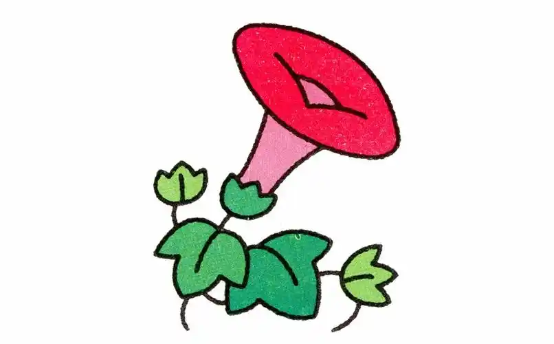 卡通牵牛花简笔画的画法