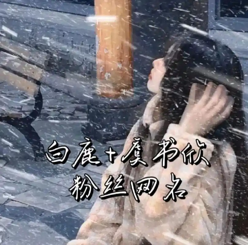 白鹿 虞书欣粉丝网名 白鹿 虞书欣粉丝网名