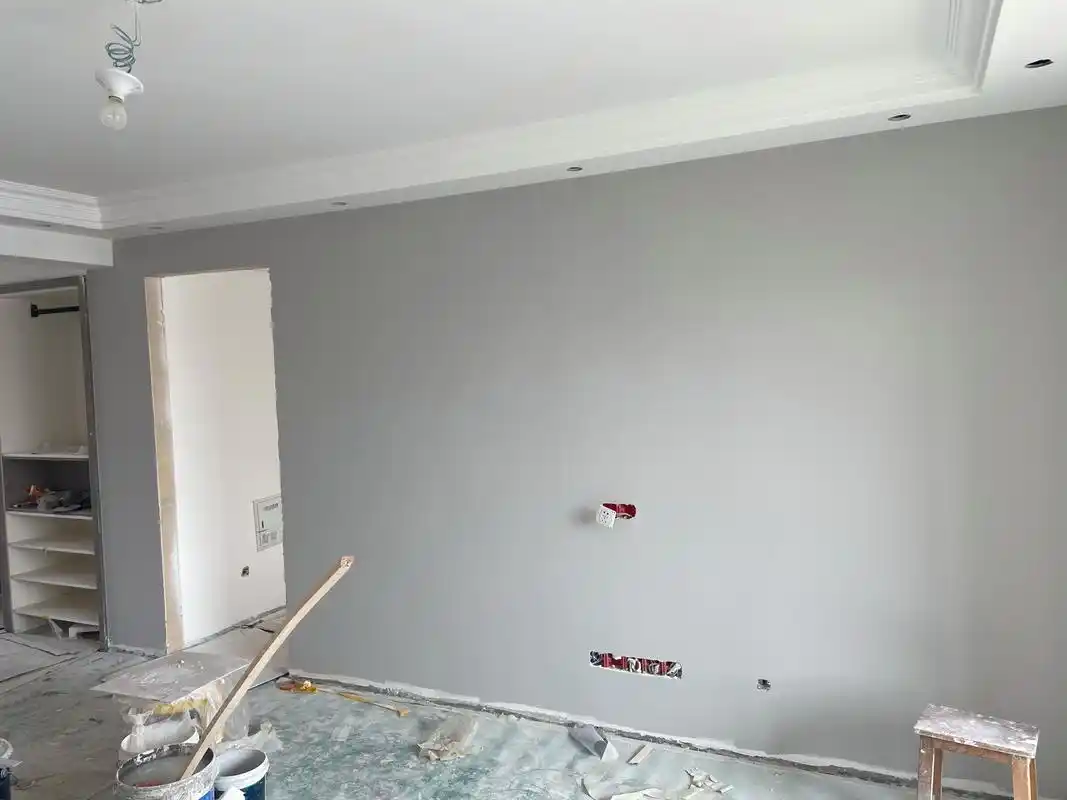 一开始怕颜色太深不好看选择了多乐士的网红浅灰色  ,家里采光太毫怂