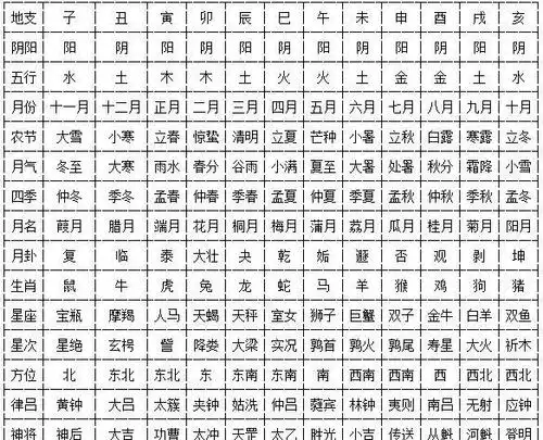 地支总表一览