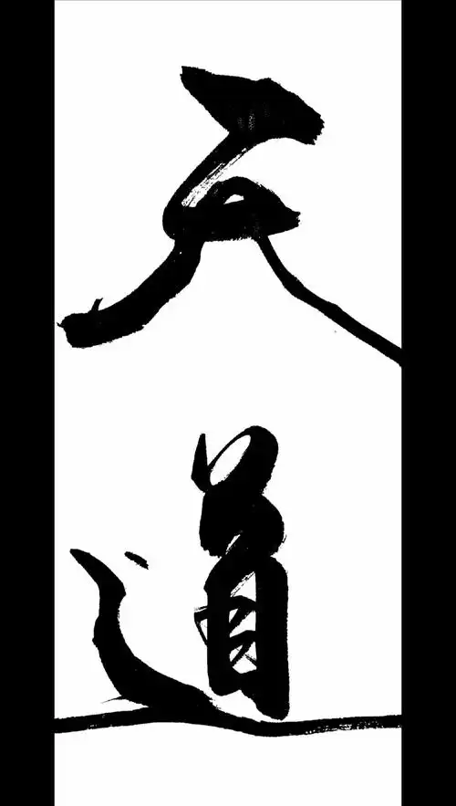 全民书法秀#天道好轮回,苍天饶过谁