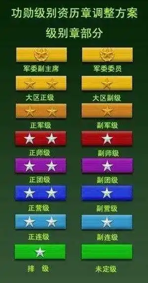 他是资历牌,资历牌是按照在军中服役年数发放的