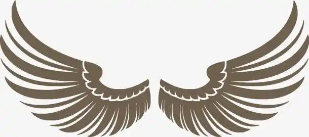 卡其色翅膀素材免抠素材免费下载_觅元素51yuansu.com