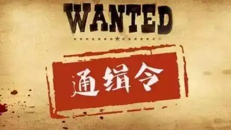 你知道吗?公安部a,b,s级通缉令,红通,网逃的区别